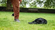 Football match highlights UK's poor paternity leave for new fathers