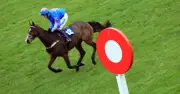 Four UK horse racing meets cancelled due to red heat warning