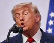 G7 Hot Mics, Epstein Details, Bee Mystery: Digested Week