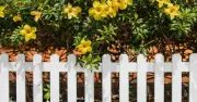 Garden Fence Painting Hack Uses 46p Sponge for Quick Results