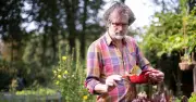 Garden Noise Warning: Homeowners Risk £1,000 Fines This Summer