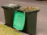 Garden Waste Items No Longer Recyclable Under New UK Rules