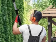 Gardeners Hail £60 Extendable Hedge Trimmer as 'Game Changer'