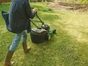 Gardeners Urged to Mow Lawns Within 2-Hour Window or Risk Yellow Grass