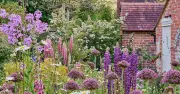 Gardeners Urged to Plant One Flower That Grows Anywhere to Attract Bees All Summer