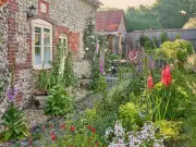 Gardeners Urged to Plant One Flower to Support Bees This Summer