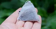 Gardeners Urged to Reuse Teabags in June for Healthier Flowers