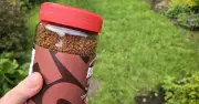 Gardeners Urged to Scatter Coffee Grounds on Lawns in June for Greener Grass