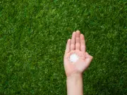 Gardeners Urged to Scatter Sugar in Gardens This June for Lush Lawns