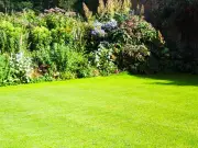Gardeners Urged to Sprinkle £1 Kitchen Staple on Lawns in June for Lush Grass