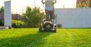 Gardeners Warned: Avoid Mowing Lawns Between 6am-8am to Prevent Clumpy Grass