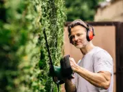 Gardeners Warned Not to Trim Hedges in July to Avoid Breaking Law