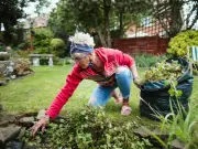Gardeners' World Expert Shares 4 Lawn Care Tips for June Heatwave