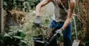 Gardening Expert: 1 Job Before July Stops Weeds Growing 'Out of Control'