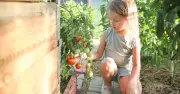 Gardening Expert Urges One Key Task Before 41C UK Heatwave Hits