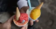 Gelato vs Ice Cream vs Sorbet: Key Differences Explained