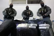 Germany Seizes Over 8 Tons of Cocaine in Cocoa Bean Container