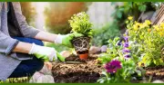Get £10 Free to Spend at YouGarden This June – Exclusive Offer