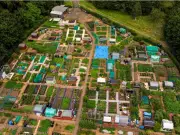 Growing Demand for Allotments in West Lothian as Third Site Planned