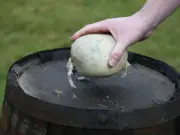 Haggis Legalised in Massachusetts as Tartan Army Celebrates World Cup Win