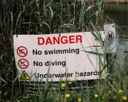 Hampstead Heath Swimming Row Highlights Need for Better Water Access and Education