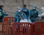 Hantavirus Outbreak Contained: A Public Health Success Story