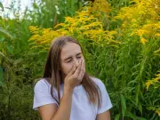 Heatwave Health Warning for Hay Fever Meds: Benadryl, Clarityn, Piriteze Risks