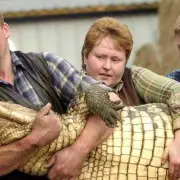 Hero Zoo Keeper Not Alone in Crocodile Rescue, Family Joined Her