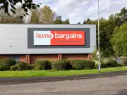 Home Bargains' £6 'Natural' Garland Stuns Shoppers for Doors and Windows
