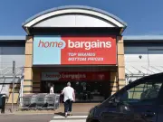Home Bargains 99p Windmills Add Traditional Charm to Gardens