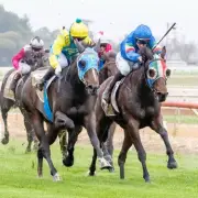 Horse Racing Chaos: Heatwave Forces Abandonment of Four Meetings