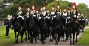 Household Cavalry Association Slams Starmer's Troubles Bill Changes