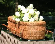 How to Limit Your Body's Environmental Impact After Death