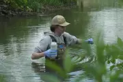 How Water Pollution in Iowa Ruins Summer Fun: Key Takeaways