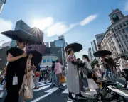 Humans Prefer Walking Anticlockwise, Scientists Find but Reason Unclear