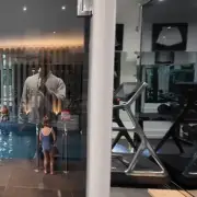 Inside Tommy Fury's £5m Mansion and Reunion with Molly-Mae