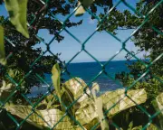 Jamaican Beach Activists Go to Court to Fight Privatisation of Coast