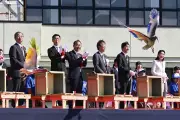 Japan Releases 40 Extinct Crested Ibises Back into the Wild