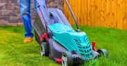 Keep Lawns Green in Hot Weather With One Easy Weekly Task in July