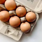 Key Differences Between Organic and Free-Range Eggs Explained