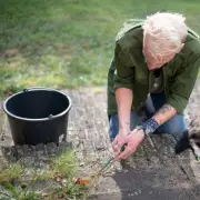 Kill patio weeds naturally with kitchen item found in most homes - not vinegar