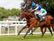 King George-winning trainer Muir hails Breacher as 'best horse I've ever had' after debut win