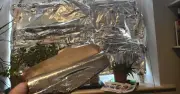 Kitchen Foil on Windows: Does It Really Keep Your House Cool in Heatwaves?