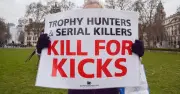 Labour's Trophy Hunting Hypocrisy: 33 Import Permits Issued Despite Ban Promise