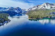 Lake Tahoe Residents Fight Forest Service Plan to Spray Glyphosate Herbicide