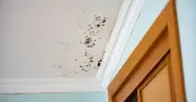 Landlords in England Face £7,000 Fines for Unsafe Housing Hazards