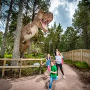 Landmark Forest Adventure Park Cuts Summer Holiday Ticket Prices by £3