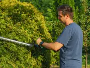 Legal Rights in Wales for Neighbour's Refusal to Cut High Hedge
