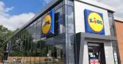 Lidl Invests £500M to Boost UK-Grown Berries in Supermarkets
