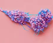 Life-Prolonging Ovarian Cancer Drug Elahere Approved for NHS Use in England
